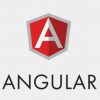 I will do your angular projects