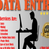 I will do Data Entry Work